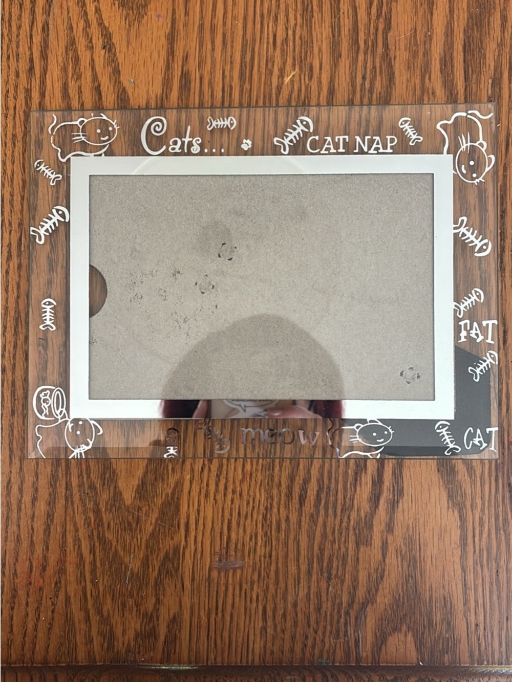 Clear Glass Kitty Picture Frame